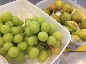 image1_13.JPG