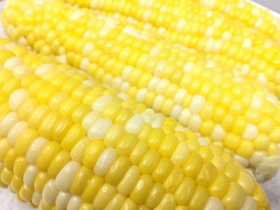 image1.jpeg