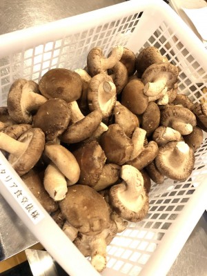 image1_3.jpeg