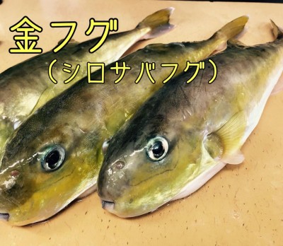 image1_2.jpeg