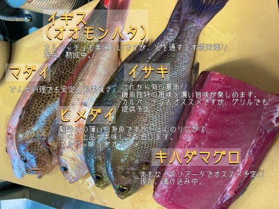 image0_8.jpeg