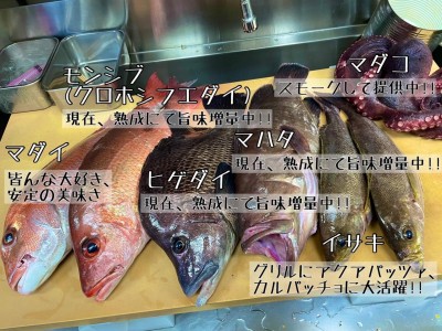 image0_9.jpeg