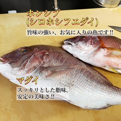 image1_3.jpeg
