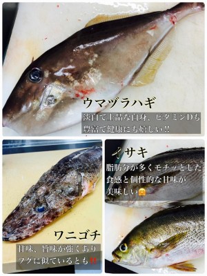 image0.jpeg