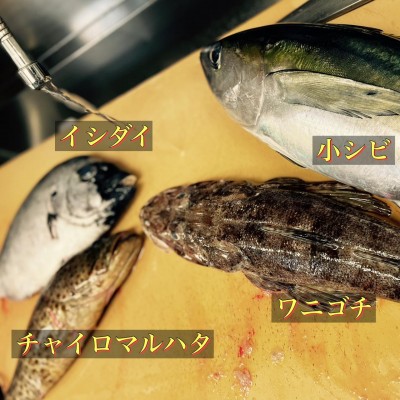image0_6.jpeg