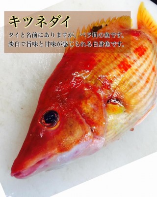 image0_8.jpeg