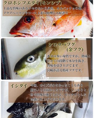 image1_6.jpeg