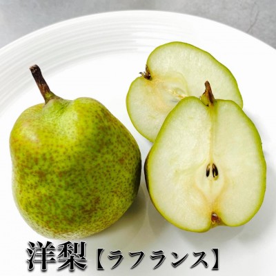 image1_2.jpeg