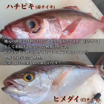 image0_3.jpeg
