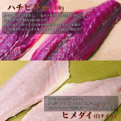 image1_2.jpeg