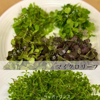 image1_7.jpeg