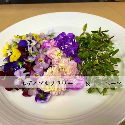 image2_2.jpeg