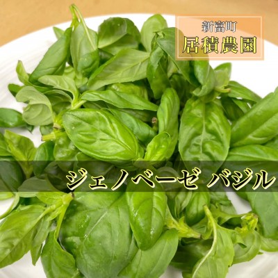 image0_7.jpeg