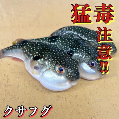 image0_4.jpeg