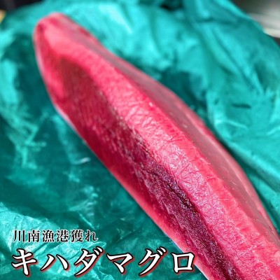 image1.jpeg