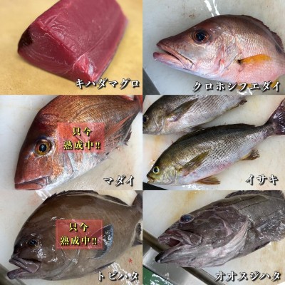image1_4.jpeg