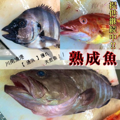 image7.jpeg