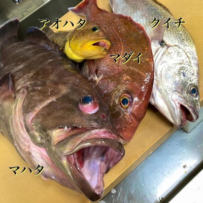 image0_3.jpeg