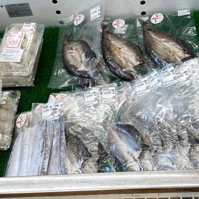 image7.jpeg