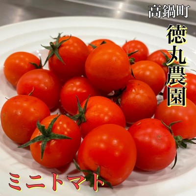image1_2.jpeg