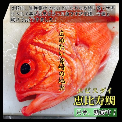 image5.jpeg
