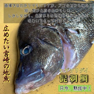 image6.jpeg