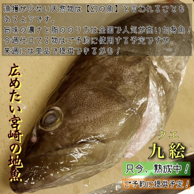image7.jpeg