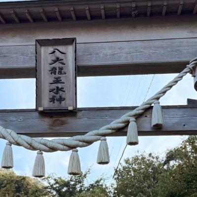 image11.jpeg