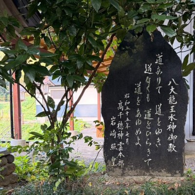 image12.jpeg