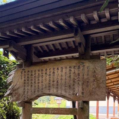 image13.jpeg