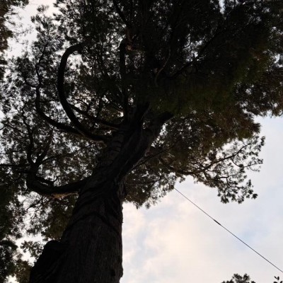 image6.jpeg
