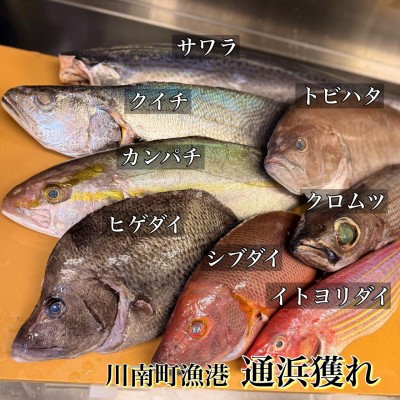 image2_2.jpeg