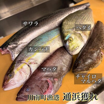 image0_6.jpeg