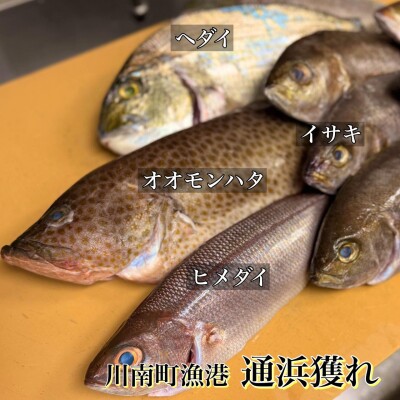 image0_3.jpeg