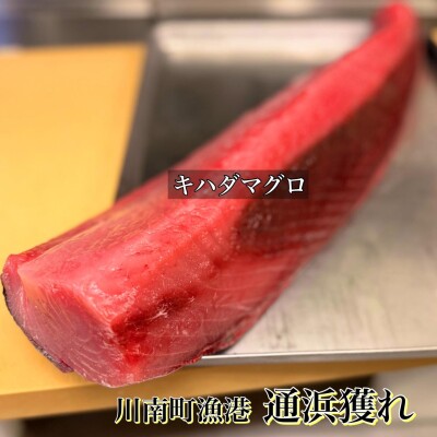 image1_3.jpeg